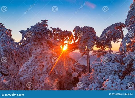 Winter Sunrise Landscape in Huangshan National Park. Stock Photo - Image of crown, asia: 85186800