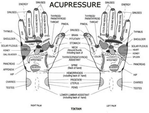 Benefits of Acupressure Points - Acupressure Points in Hand and Leg