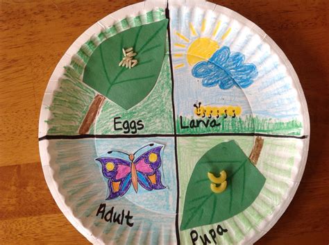 Butterfly Life Cycle Art Preschool at Pete Dyer blog