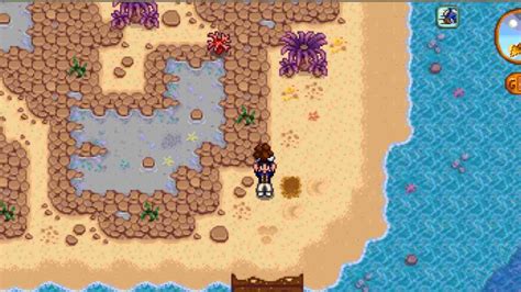 Where to Get Clay in Stardew Valley | Full Guide 2022