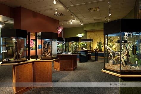 Durham Museum of Life & Science | Commercial Photography | Brian Mullins Photography