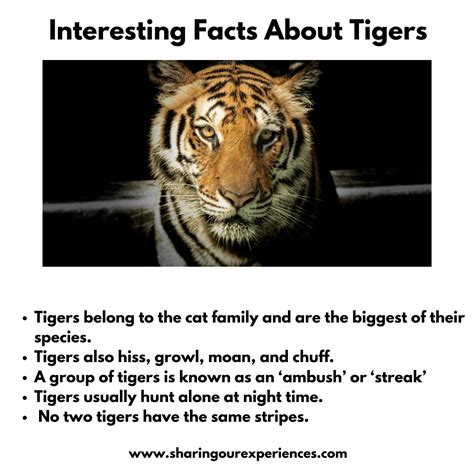 Top Facts About Animals - Image to u