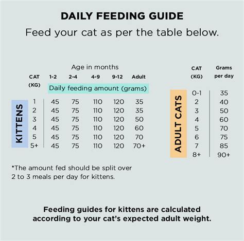 Dry Raw Food Feeding Guide | The Innocent Hound