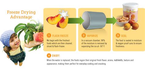 What are the Benefits of Freeze Dried Foods?