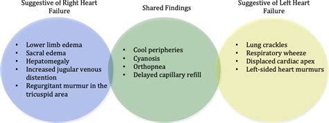 Compensated Vs Decompensated Shock / Pathophysiology Of Shock Atdove Org / The falling ph ...