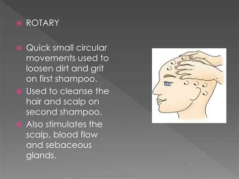 PPT - SHAMPOO CONDITION AND TREAT THE HAIR AND SCALP PowerPoint Presentation - ID:2642638