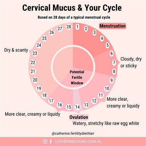 7 Ways To Promote Healthy Cervical Mucus - Pristine Fertility