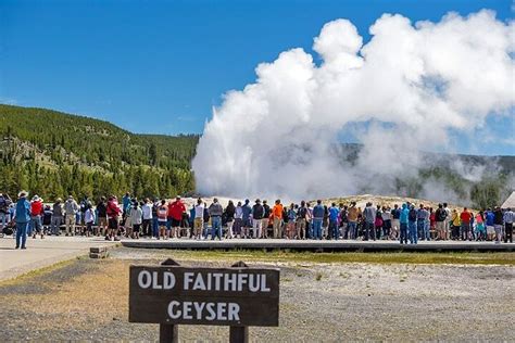 Yellowstone Lower Loop VIP Full-Day Private Tour with Lunch from $550 | Cool Destinations 2023