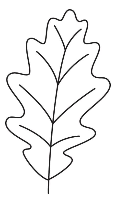 an oak leaf is shown in black and white, with the outlines on it