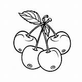 Cherries Coloring Sheet Pages sketch template