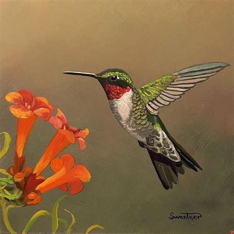 David Swantner Artworks Gallery | Hummingbird painting, Artwork, Painted rocks