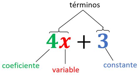 Expresiones Algebraicas y Ejemplos - Neurochispas