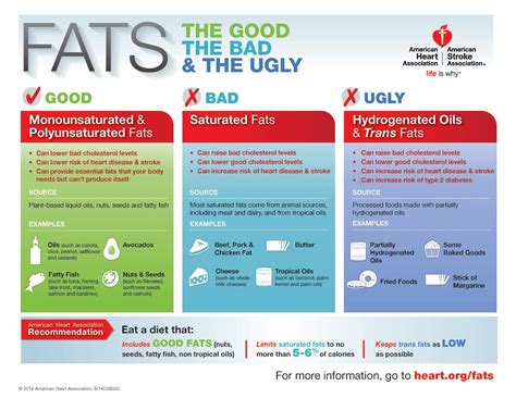 Dietary Fats And Blood Cholesterol Levels Worksheet Answers