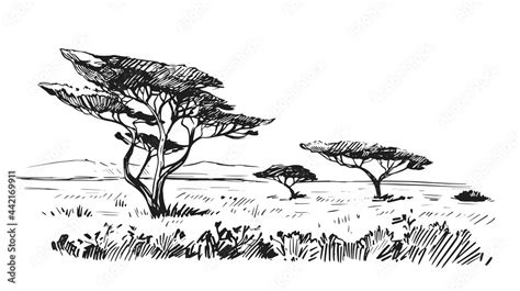 Savanna Tree Drawing