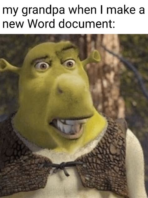 Shrek face swap is the new format : r/memes