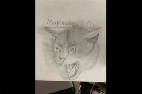 Mapleshade (Fan art challenge.) | Warrior Cats