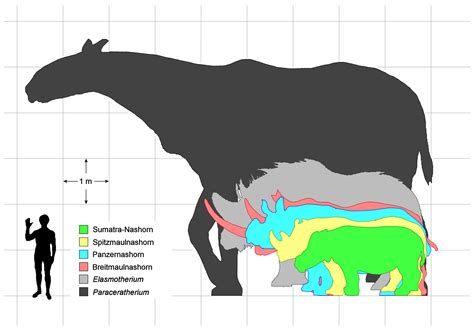 9 Extinct Megafauna That Are Out of This World