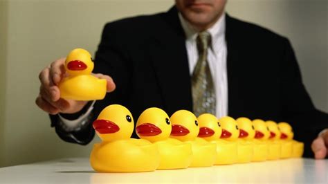 The Business: Getting your ducks in a row... - Metro Newspaper UK