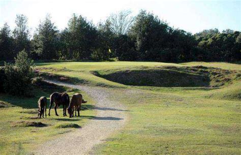 Burley Golf Club in Burley, New Forest, England | Golf Advisor