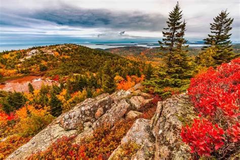 Peak Fall Foliage 2024 Acadia National Park - Guenna Kylynn