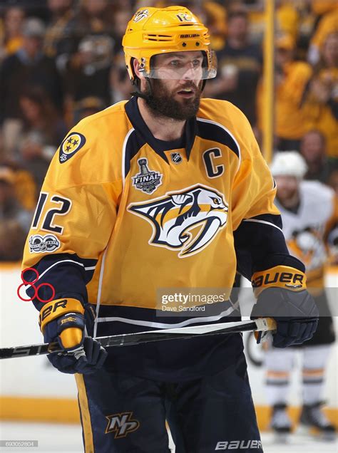 Mike Fisher Predators