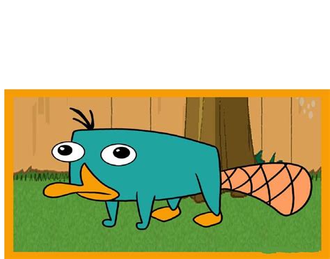 Baby Perry The Platypus Wallpapers - Wallpaper Cave