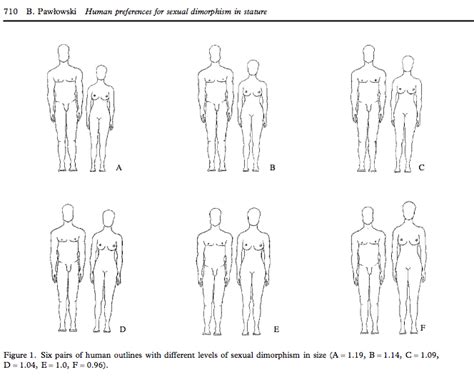 What Is The Optimal Or “Perfect” Height Ratio And Difference For Couples? | Natural Height Growth