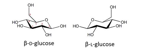 organic chemistry - In the Haworth projections of D and L glucose, is ...