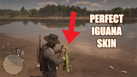 Rdr2 How To Get Perfect Snake Skin ~ Rdr2 Pelt | virarozen