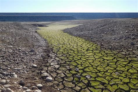 Definition Of Drought - Forest Meteorology - Climate Policy Watcher