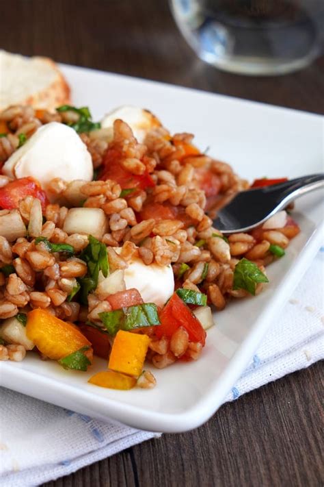 Italian Farro Salad Recipe - Food Fanatic