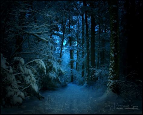 "Dark Forest" by *thinkingupwards on deviantART Snowy Forest, Magic Forest, Dark Forest, Snowy ...