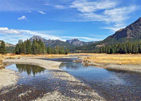 The North, Yellowstone National Park, Wyoming: Mammoth and Tower