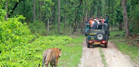 Bandipur National Park and Safari Details | Bandipur Online Safari Booking