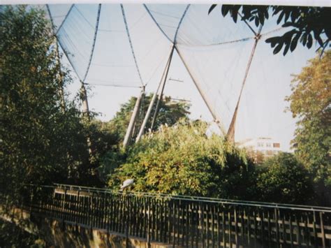 Snowdon showing famous cantilevered bridge.1999. - ZooChat