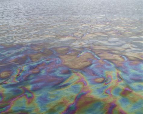 New Bedford Harbor - Oil Sheen - 4-0017128 | Oil sheen on th… | Flickr