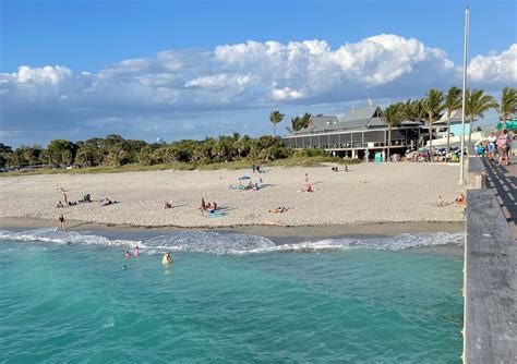 9 Best Beaches to Find Shark Teeth in Florida [2022]