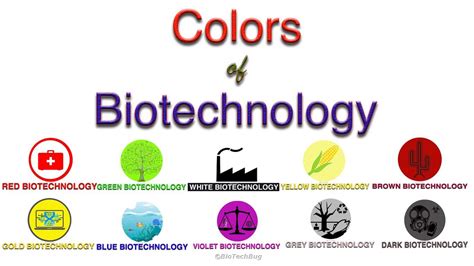 Quiz on Colors of Biotechnology