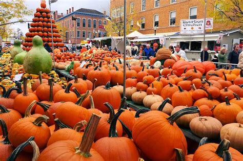 Ohio Fall Festivals to Celebrate the Harvest and More