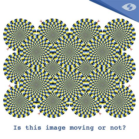 Optical illusion | Illusions, Optical illusions, Eyes problems