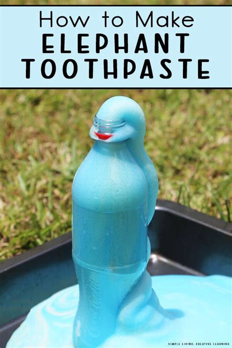 Elephant Toothpaste Experiment Information