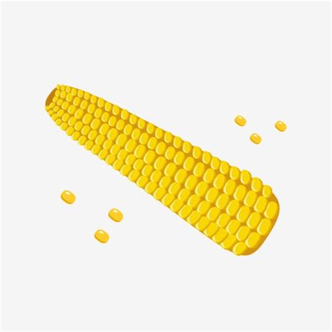 Corn Ingredients Food Illustration Yellow Corn, Mais, Zutaten, Lebensmittelillustration PNG und ...