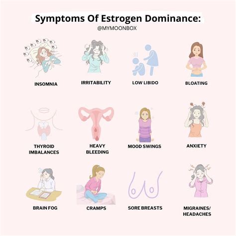 Signs and symptoms of high estrogen – Artofit