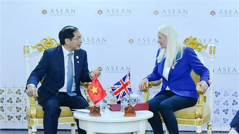 Vietnam expands relations with ASEAN Partners