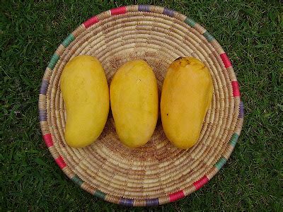 Pakistani Mangoes