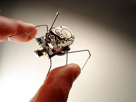 17 best images about NANO ROBOTIC INSECTS on Pinterest | Cameras ...