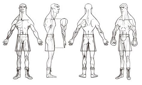 Cartoon boxer Blueprint - Download free blueprint for 3D modeling ...