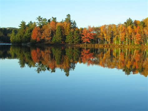 Free Images : tree, nature, forest, wilderness, leaf, fall, lake, pond, foliage, reflection ...