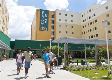 INTO University of South Florida (Tampa, Florida, USA) | Smapse