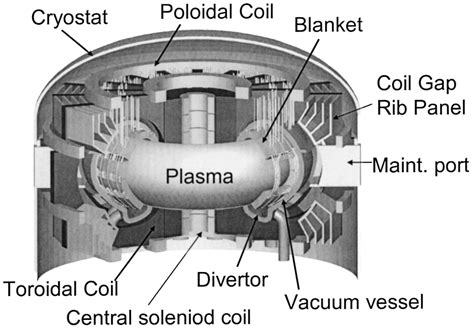 Schematic of coil arrangement for tokamak fusion reactor. (based on ...